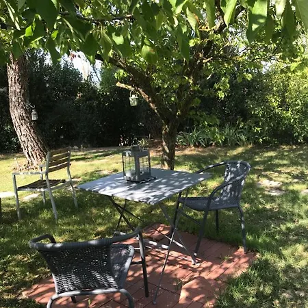 Alojamento de Acomodação e Pequeno-almoço Le Jardin De La Cite Carcassonne