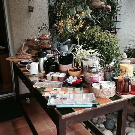 Oda ve Kahvaltı Le Jardin De La Cite Carcassonne